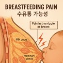 수유통 - 전주시 완산구 홍산북로 73 | 수유통