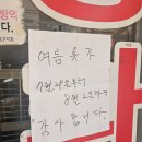 신홍매