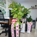 김정희공인중개사사무소 이미지