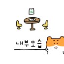 1001안경위드렌즈 네이버블로그