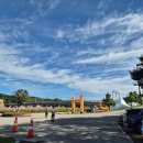 장성-25 | 장성 황룡강 가을꽃 축제 방문 후기