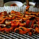 화심장어 이미지