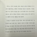 일홍 이미지