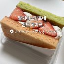 스타벅스 딸기마스카포네 샌드 케이크 초코 품은 부생카 칼로리 가격
