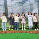 원더랜드어린이집 이미지