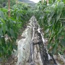 제일농산 이미지