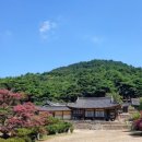 사색의길(종학당) | 8월 추천 여행지, 논산 명재고택 배롱나무 붉은 여름의 정원
