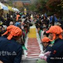 이천쌀문화축제 2년연속 최우수축제 선정 이미지