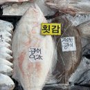 석장 이미지
