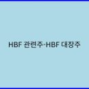 HBF 메모리 이미지