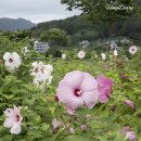 황산공원 서부광장주차장2번 | 경남 양산 황산공원 여름에 가볼만한곳 꽃구경하고 힐링숲 산책