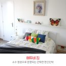 H1815 이미지