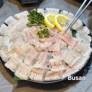 나다미식당 | [부산 연산동 횟집] 남해회관 제철 하모회와 하모 샤브샤브, 참돔 유비끼 맛집 콜키지 솔직후기