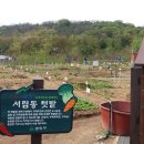 서림동-27 Daum카페