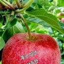 싱어게인 2ㅡ최종 우승 ㅡ사랑한 후에 ㅡ김 기태노래 ㅡ 이미지