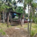 제주어린왕자풀빌라펜션 이미지