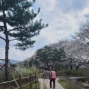 청안칼국수 이미지