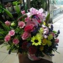 동정동080 이미지