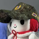 846 | 공군 846기 운항관제 전역자의 공군 후기