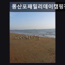 몽산포패밀리데이캠핑장 | 충남 태안군 캠핑장 추천 몽산포패밀리데이캠핑장 편리한 시설과 탁 트인 바다 전망