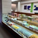 인디안 건너편 이미지