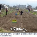 장복농장 노컷뉴스