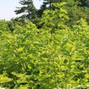 계봉농장 이미지