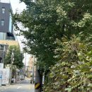 선릉역라인관리 “블렌치” 30분 퀵 통증마사지 후기