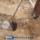 신의초등학교 이미지