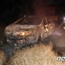 추산농로 이미지