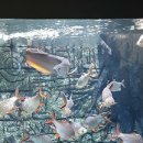 금맥한의원 이미지