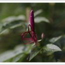 명산리마을회관 이미지