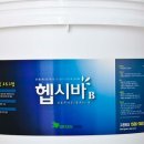 헵시바 이미지