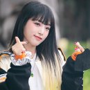 스마트포켓 이미지