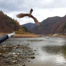 경북야생동물구조관리센터 이미지