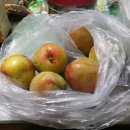 봉석농장 이미지