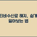 티비티비 이미지