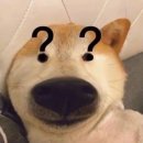 아양약국 | 본2-2 중간고사 후기