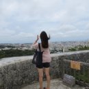 베리홀릭