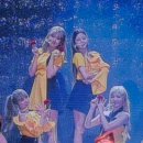 큐리어스 이미지