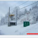 제 202차 산행안내 - 대관령 설국의 요람 선자령[2012년 1월 8일 일요일] 이미지