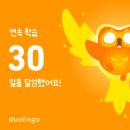 중국어 회화:기초 이미지