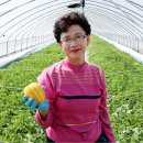 참샘영농조합법인 이미지