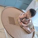 주도 | 이유식 뒷정리 자기주도매트 후기｜하이체어 호환 (싸이벡스 레모)