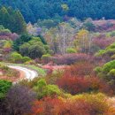 최근 개방된 비밀의 정원~여초서예관~곰배령 이미지