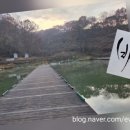 비야골낚시터 이미지