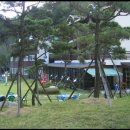 자연치유힐링센터 - 함안군 가야9길 14 | 자연치유힐링센터