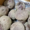 현선농장 이미지