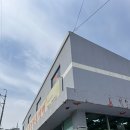 원주 냉면맛집 천진함흥냉면 회냉면 왕만두