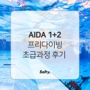 기타(초급) | 프리다이빙 초급과정｜레벨1+2 아이다2 프리다이빙 강습후기